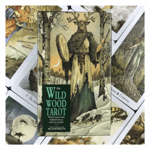 The Wild Wood: Tarot cards